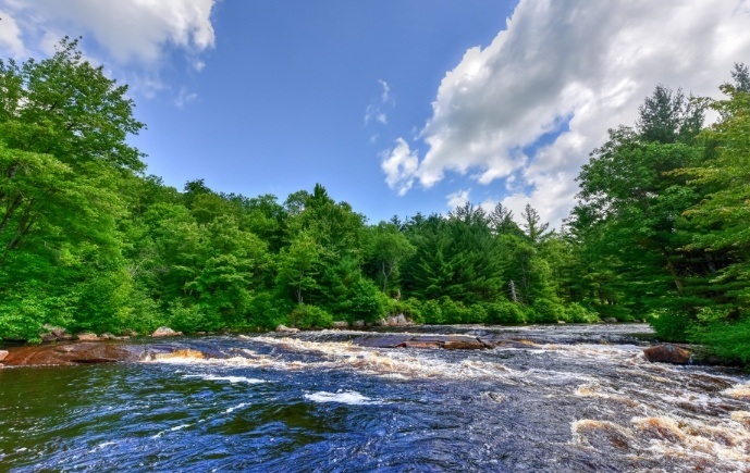 Beautiful river and forest view